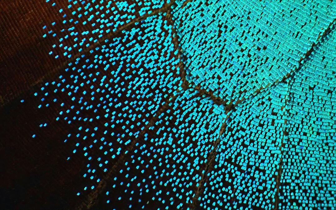 What Is Chromosomal Microarray Testing and When Is It Used?